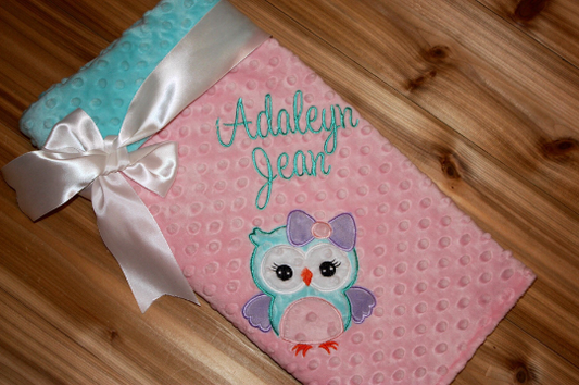 Owl- Personalized Minky Baby Blanket - Baby Girl Pink and Aqua Owl Blanket
